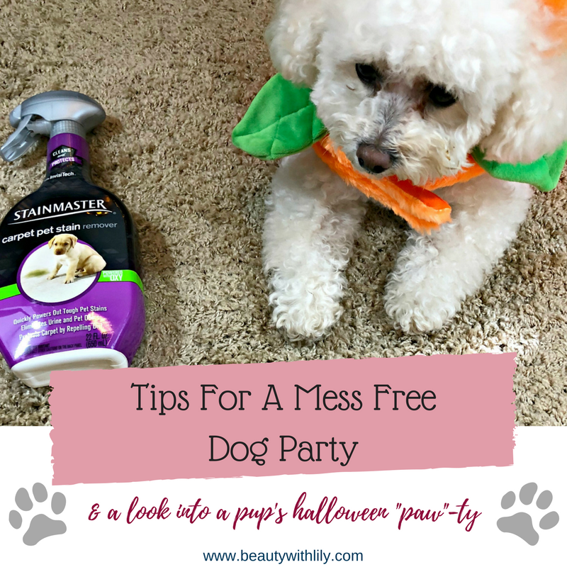 Tips For A Mess Free Dog Party // Beauty With Lily #ad #ProtectFromPetMess #SeasonalSolutions 