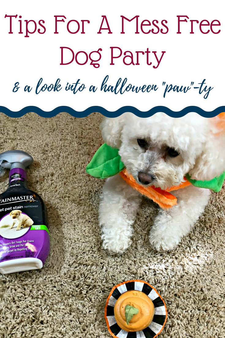 Tips For A Mess Free Dog Party // Beauty With Lily #ad #ProtectFromPetMess #SeasonalSolutions 