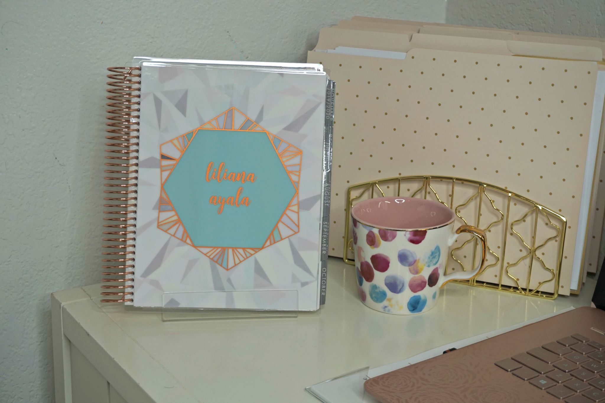 Planner Organization Hacks // How To Stay Organized // How To Use a Planner // Planner Hacks // Organization Hacks // Erin Condren LifePlanner | Beauty With Lily 