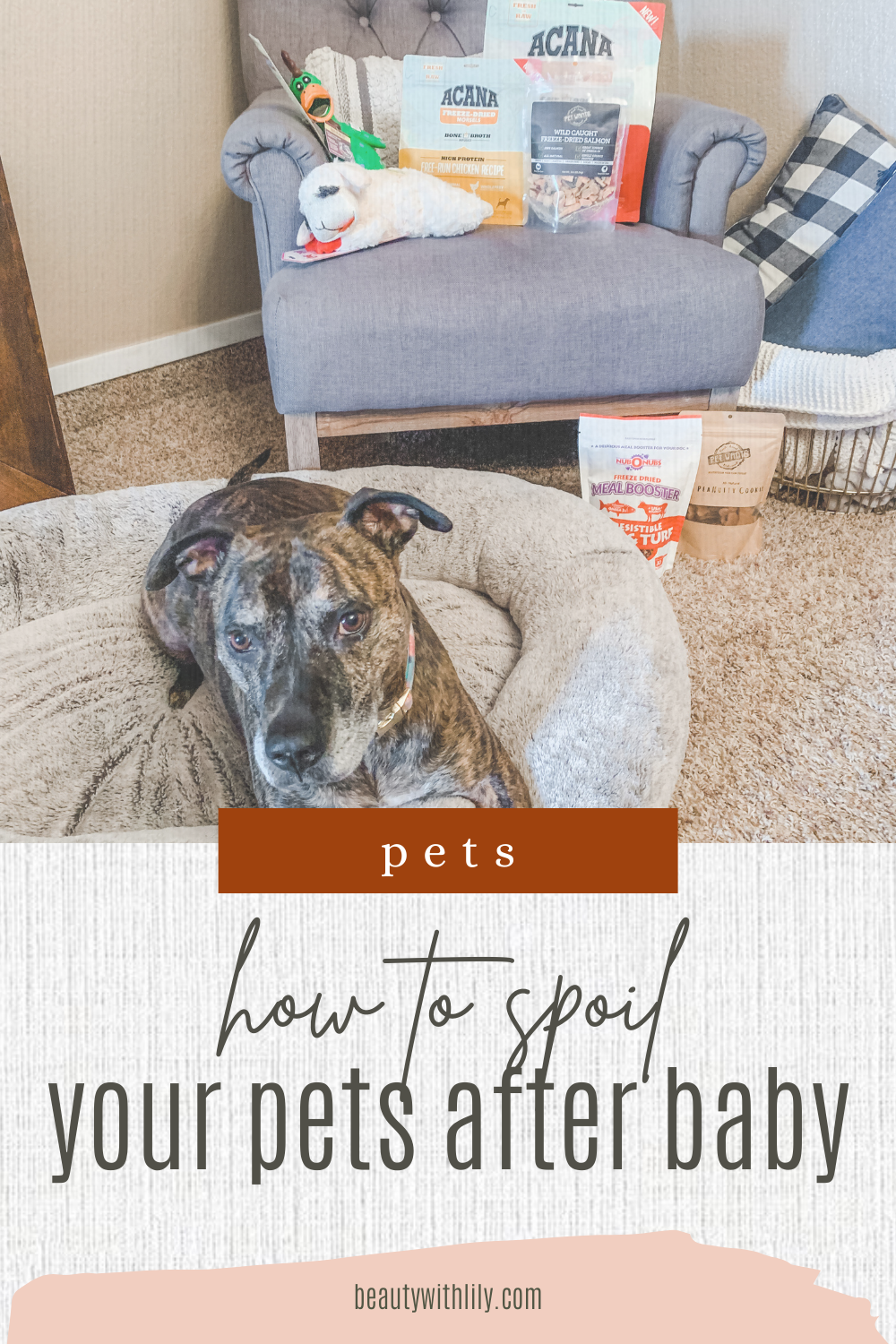 How To Spoil Your Pet After a Baby // Dog Must Haves // Puppy Must Haves // New Dog Essentials // Pet Essentials | Beauty With Lily #ad #PupMustHavesBBxx